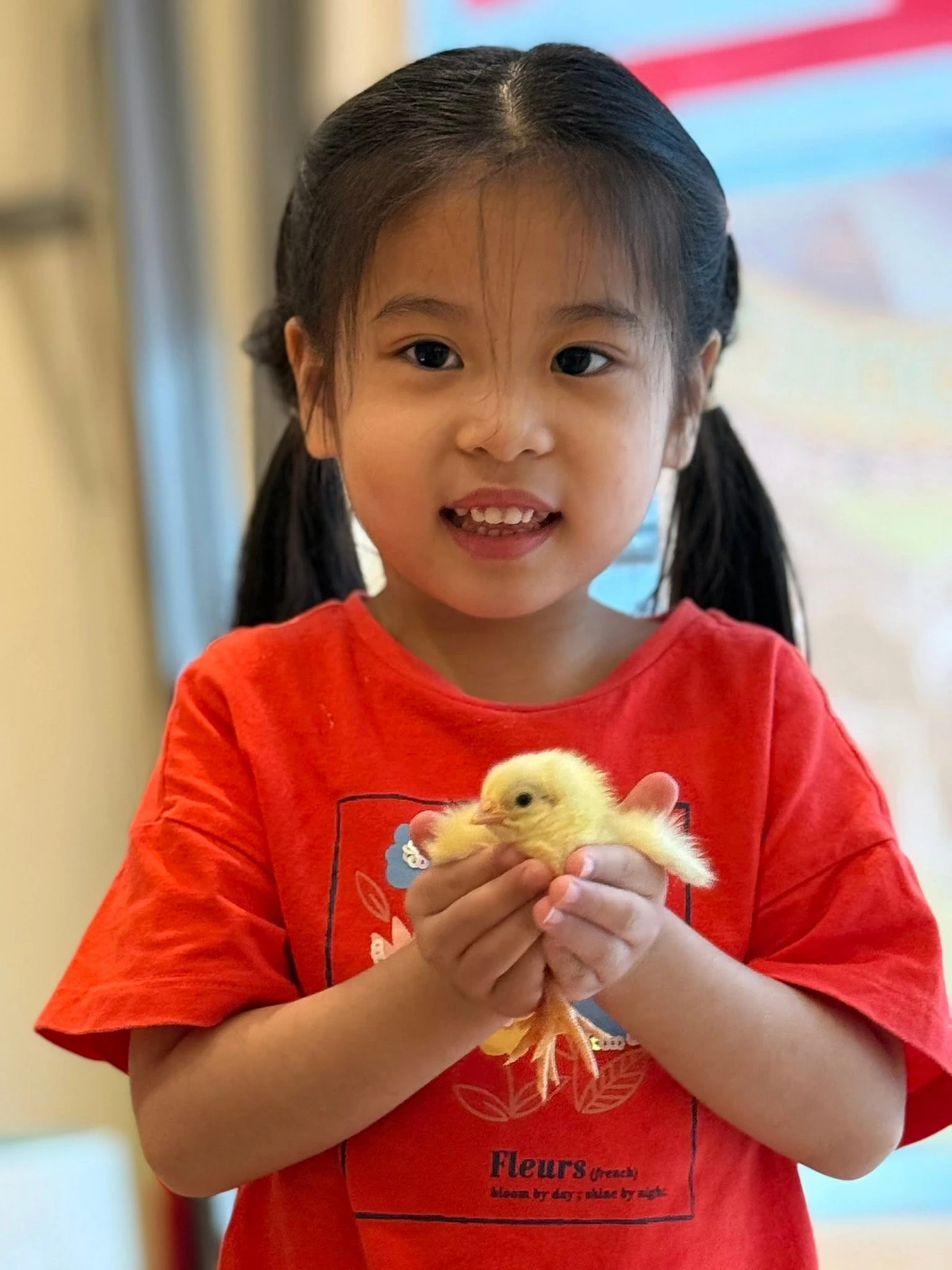 Learning activity at Little Owl Kindergarten